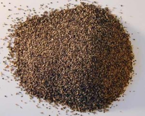 termite-droppings-close-up (1)