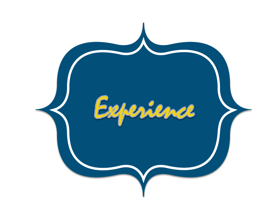 Experience