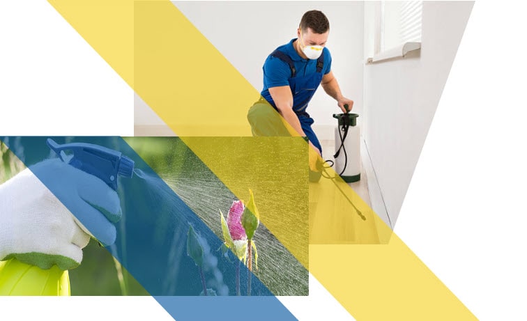 Sun Lakes Pest Control Treatment for Home and Business