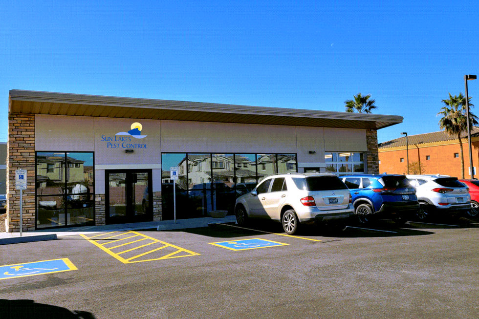 Sun lakes pest control ocotillo sun lakes pest control