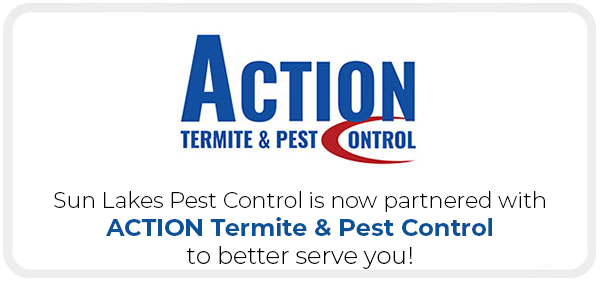Sun lakes Pest is now partnered with ACTION Termite and Pest Control.